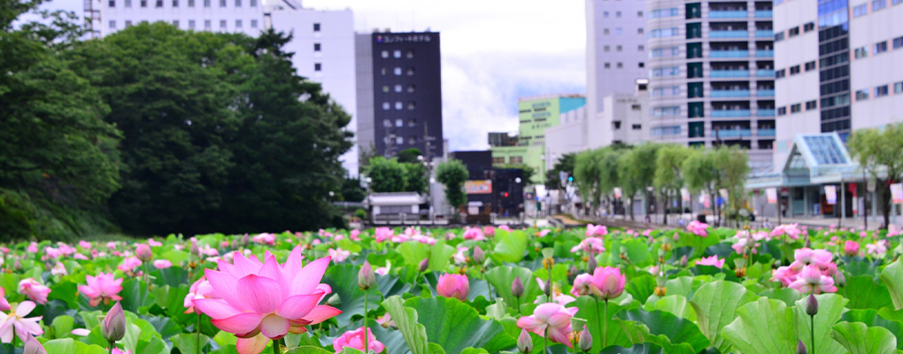 近くの教育施設紹介